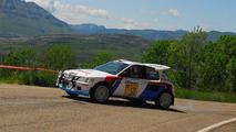 Peugeot 205 T16 Rally Car eBay
