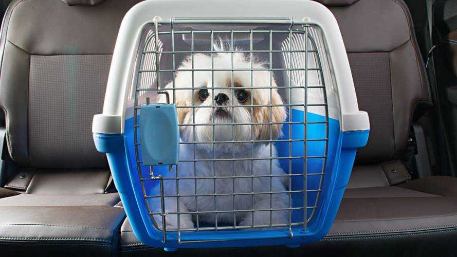 Transporte de pets - Chevrolet