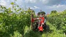 Attrezzature da vigneto e frutteto TOP per il 2024