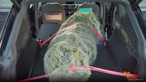 ADAC gibt Tipps für den Weihnachtsbaumtransport