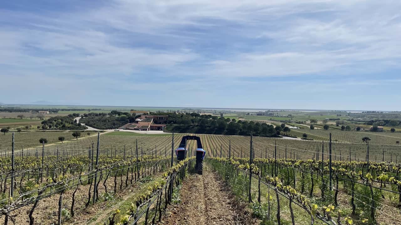 Vitibot: i robot da viticoltura per Marchesi Antinori