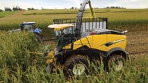 New Holland aggriorna la trincia FR per il 2025