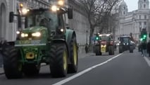Proteste trattori Londra