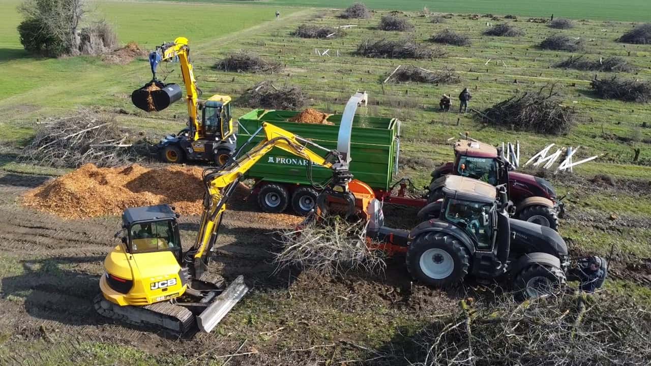 Escavatori JCB: abbattono un frutteto