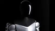 Tesla Bot