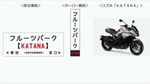 Suzuki Katana Station Signs