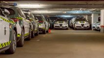 Foto - Alfa Romeo Stelvio, altre 301 unità per la Guardia Civil Spagnola