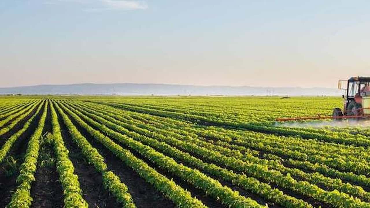 Agricoltura italiana, in bilico i fondi UE di sostegno