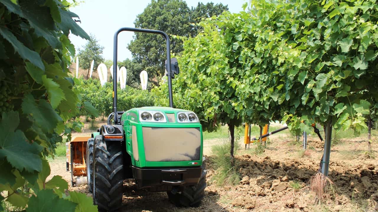 Quale trattore ha senso noleggiare per vigneti, frutteti e collina?