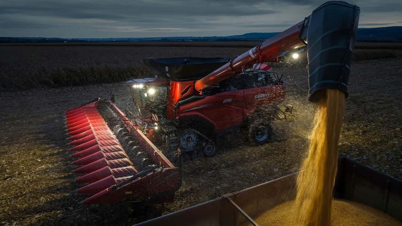 Case IH C516-75: testata mais record a 16 file per AF