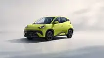 BYD Dolphin Surf