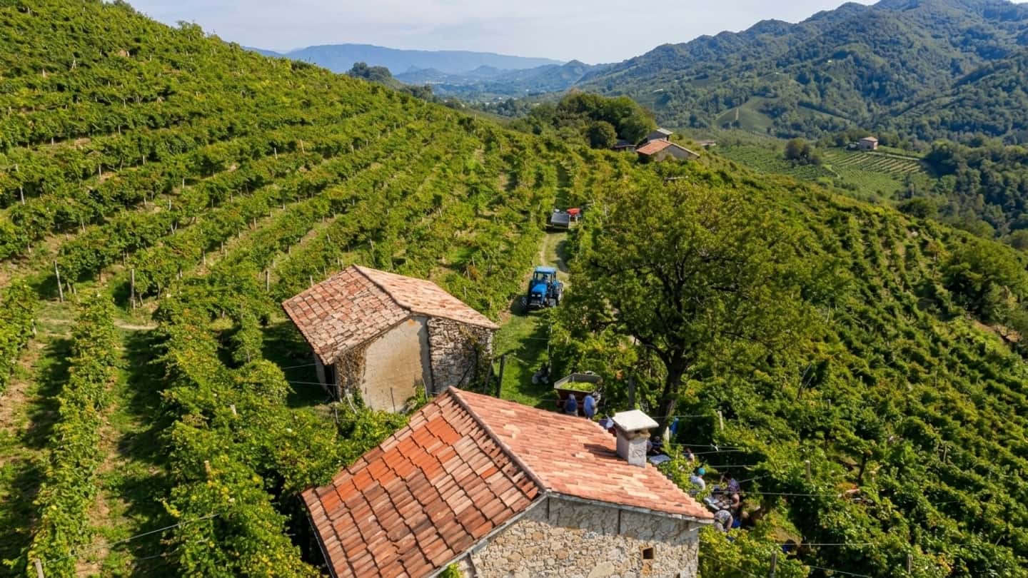 Furti nelle vigne del Docg con aratro e trattori rubati