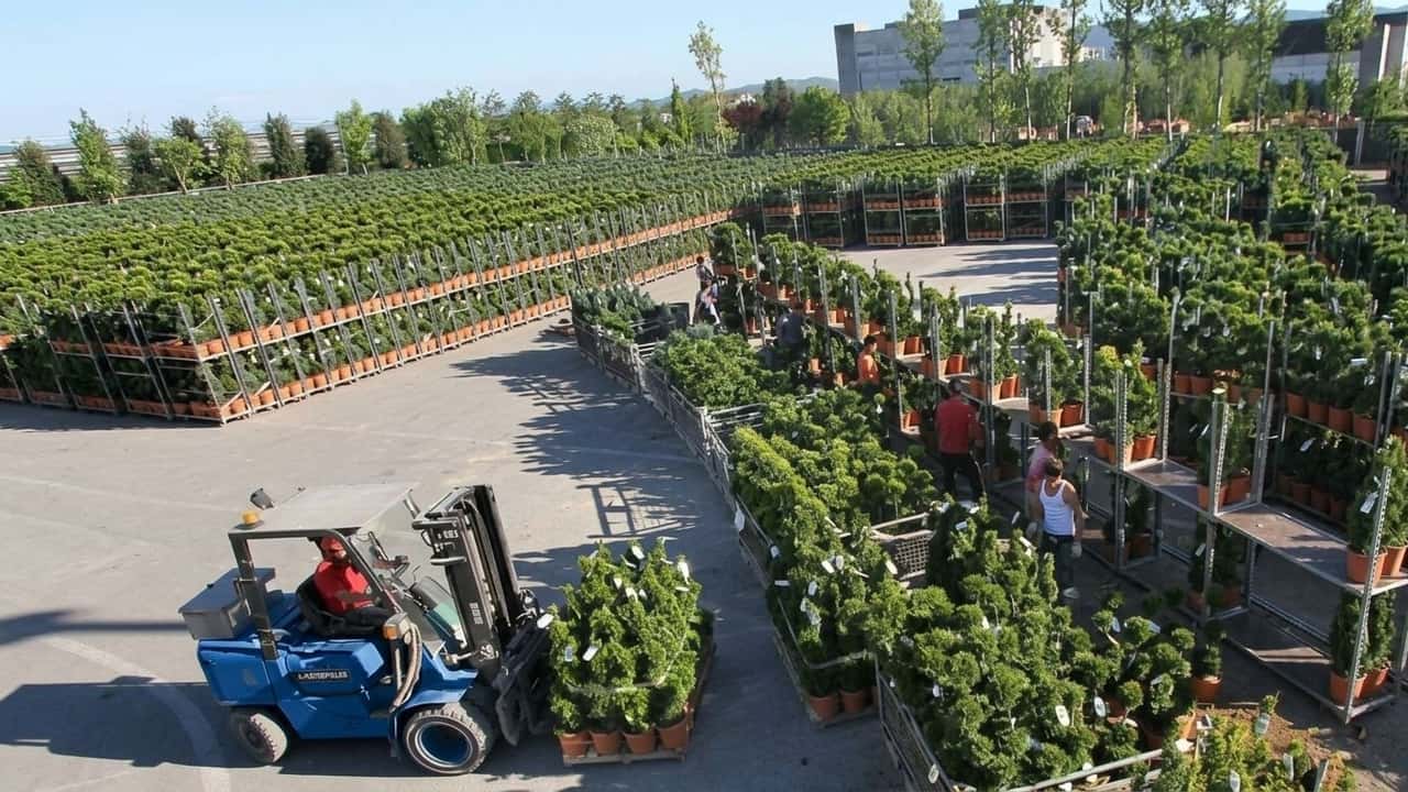 decreto-151-2026-la-filiera-florovivaistica-cambia-per-sempre