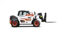 Bobcat1