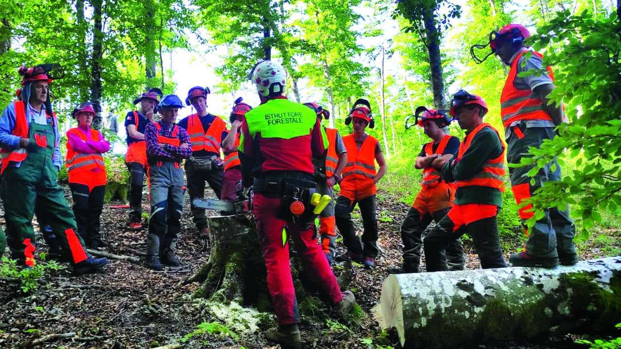 Sabart: al via la formazione forestale