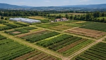 Dalle tecnologie di precisione al carbon farming: le summer school in agricoltura delle università italiane nell'estate 2026. Guida completa.
(141 — versione a 130:)
Summer school in agricoltura 2026: guida alle migliori proposte degli atenei italiani tra precisione, sostenibilità e agrifood