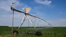 Strategie tecniche per programmare turni, volumi irrigui e scelte varietali del mais con risorsa idrica limitata in scenari di siccità 2026