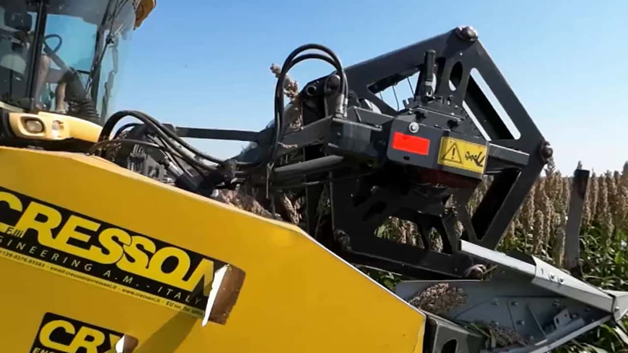 Scelta di ibridi di sorgo e regolazioni di seminatrici, mietitrebbie e logistica aziendale in rotazione tecnica con il mais