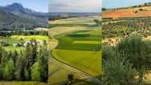 In caso di comproprietà di terreni agricoli, l'esenzione IMU spetta solo al comproprietario coltivatore diretto. Gli altri devono pagare l'imposta