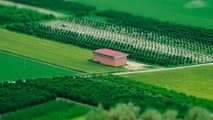 SRL agricola: vantaggi fiscali e rischi da conoscere prima