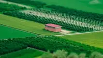 SRL agricola: vantaggi fiscali e rischi da conoscere prima