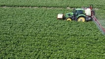 Quali irroratrici scegliere nel 2026 per trattare la patata?