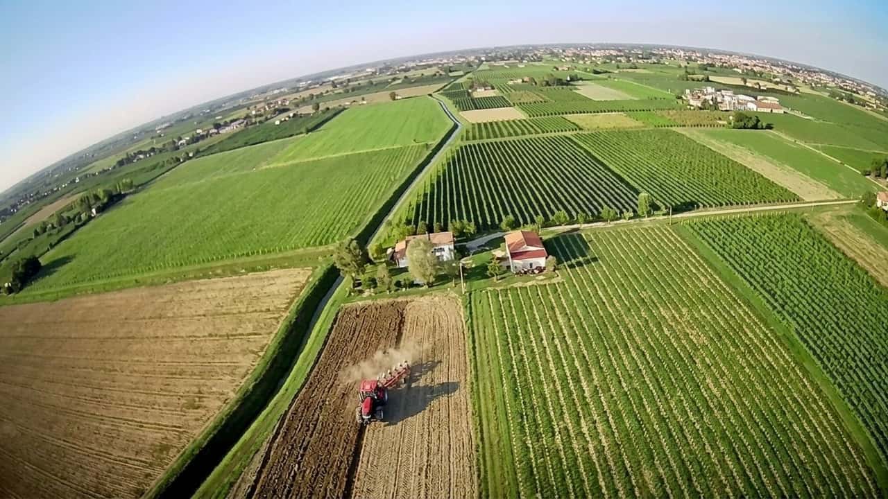 da-campo-a-scaffale-bonifiche-ferraresi-su-carapelli-e-naturasi