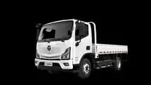Foton eAumark (6T, 9T e 12T)