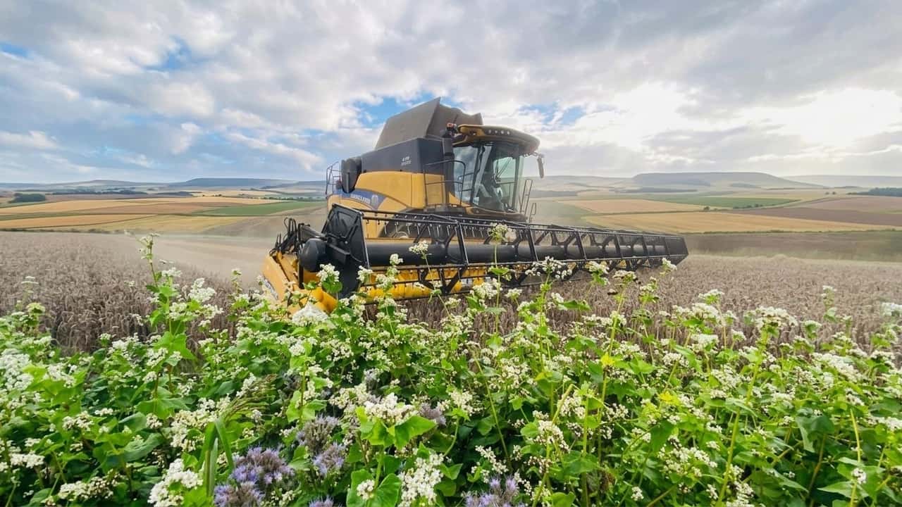 risparmi-fino-al-50-semina-cover-crop-durante-la-m-mod-msfx35nx