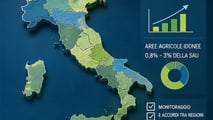 La legge 4/2026 ridisegna le aree idonee per le rinnovabili: per l'agrivoltaico continuità colturale obbligatoria e limite tra 0,8% e 3% della SAU regionale