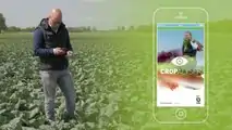 Cropalyser di Bejo: app per analizzare la salute delle colture