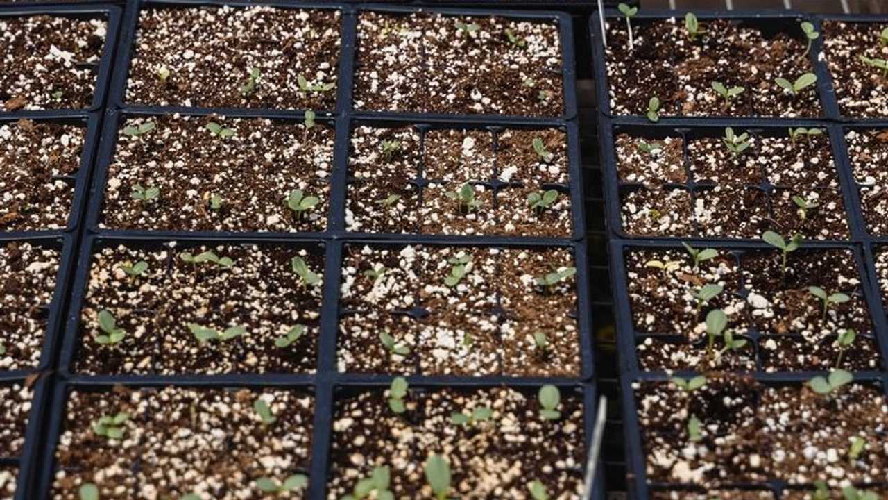 Agricoltura biologica: a rischio fondi PAC