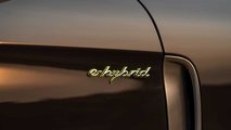 2021 Porsche Panamera 4S E-Hybrid Executive Exterior Badging