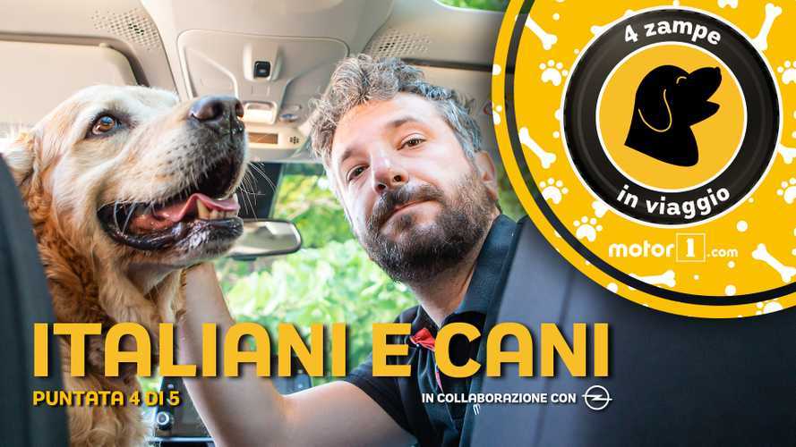 I cani e gli italiani, come stare bene assieme in auto e non