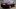 Alfa Romeo 155, le foto storiche