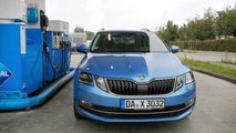 Skoda Octavia Combi mit CNG-Antrieb (2019) im Dauertest - Teil 4
