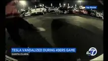 This 49ers Supporter Can't Stand A Tesla, Kicks Its Back Door