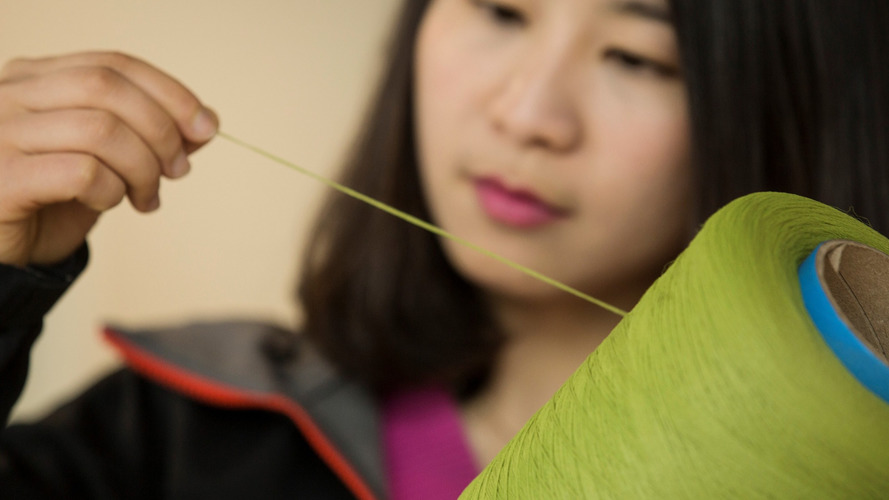 Bamboo could feature in your next car