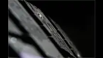 Streck die Krallen aus