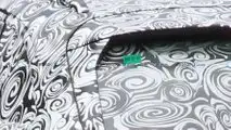 Photo espion Audi A4 Avant
