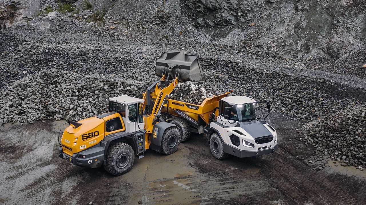 LIEBHERR TA230 (8)