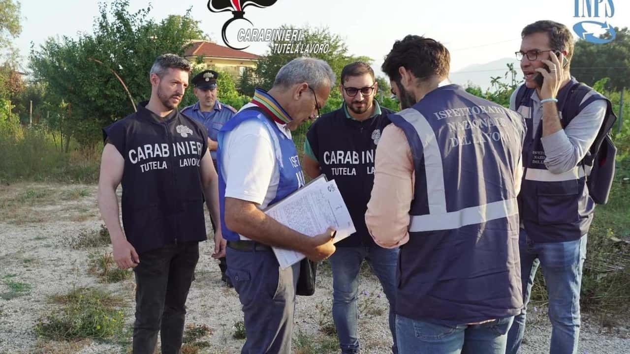 potentino-23-aziende-agricole-irregolari-su-100-cosa-hanno-trovato-i-controlli-2