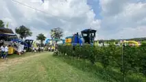 Foto - New Holland Braud 9090 L vendemmiatrice polivalente
