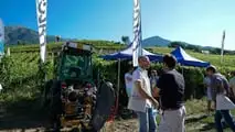 Foto - Enovitis extrême 2023: la viticoltura è eroica: tutto pronto!