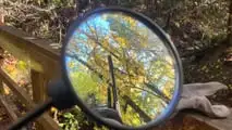 Whispers in the mirror.