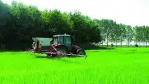 Damax D1700R