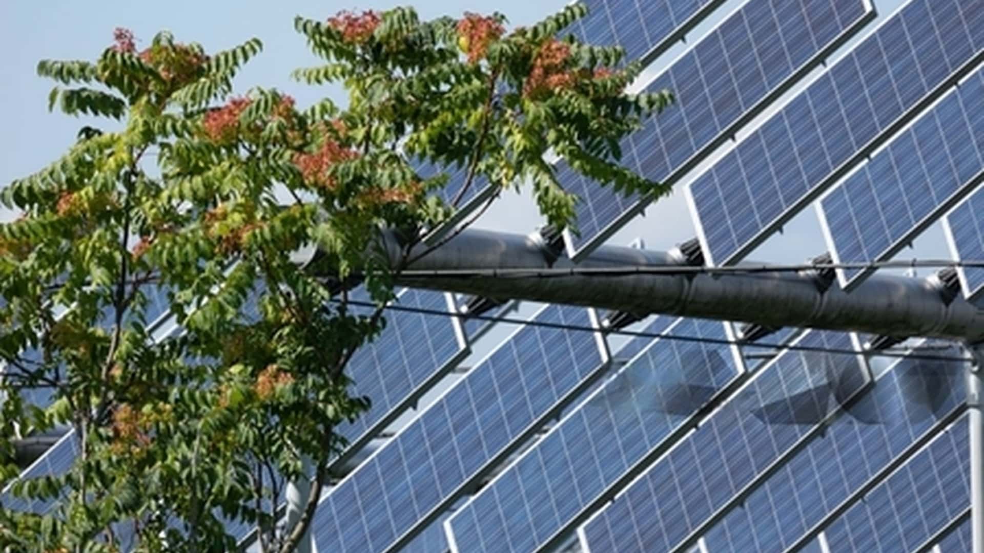 Agrivoltaico Nuovo Decreto Per 1 04 Gw Entro Il 2026 Agrivoltaico Nuovo Decreto Per 1 04 Gw Entro Il 2026