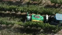 Attrezzature da vigneto e frutteto TOP per il 2024
