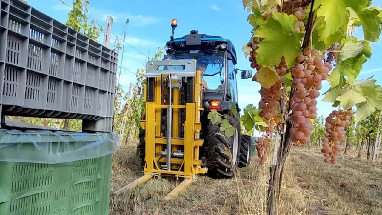 CM: elevatore triplex supercompatto 16 THAD 2000 a Enovitis in CampoCM: elevatore triplex supercompatto 16 THAD 2000 a Enovitis in Campo