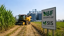 BF acquista sito Syngenta: focus su sementi mais ibrido